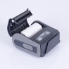 Datecs DPP-350